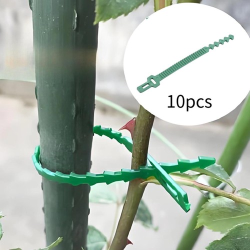 10x garden plant - ties, tree