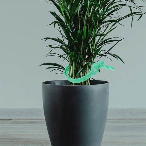 Garden plant ties 12pcs - ties,