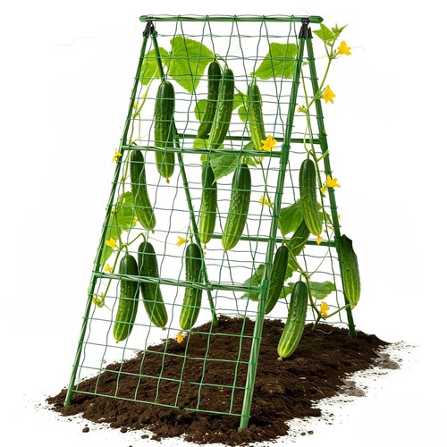 Cucumber trellis garden arch - cucumber,