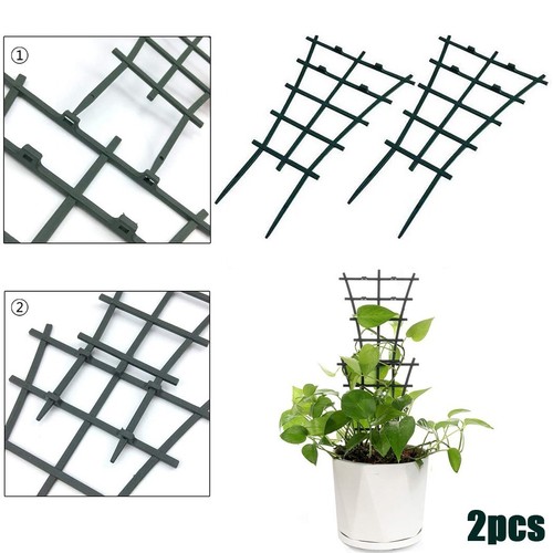 Plant support climbing - climbing, trellis