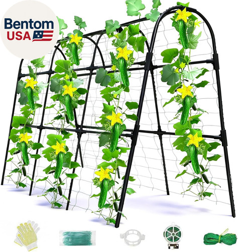 Cucumber trellis for raised - for,