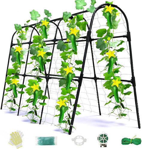 Cucumber trellis for raised - cucumber,