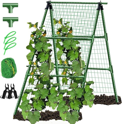 Cucumber trellis garden - cucumber,