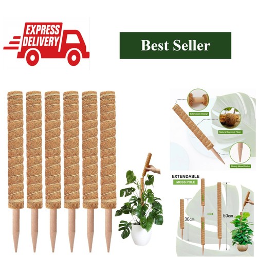 Moss pole plant support - pole,