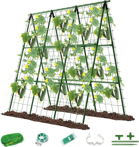 Cucumber trellis metal support - trellis,