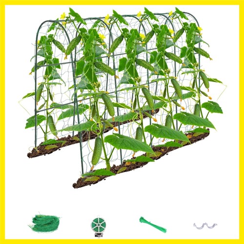Cucumber trellis for raised - cucumber,