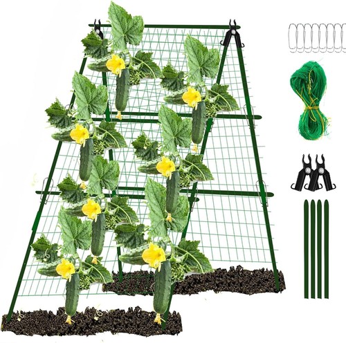 Cucumber trellis garden - trellis,
