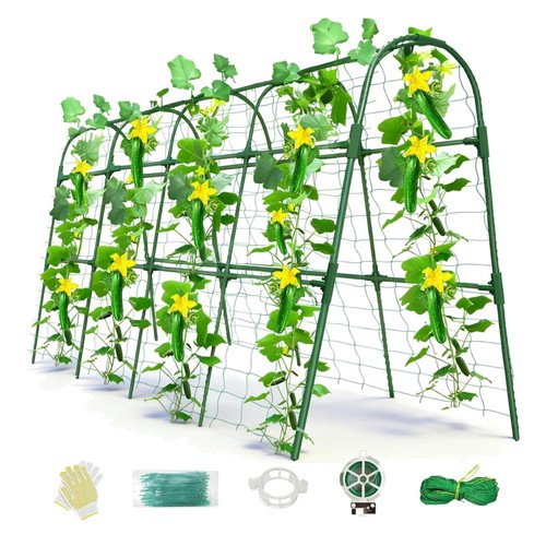 Garden arch trellis - garden,