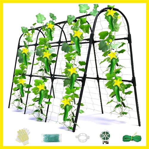Cucumber trellis for - cucumber,